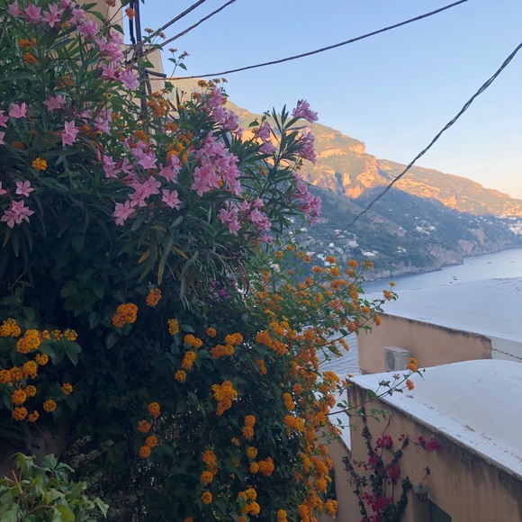 Meet your Posher, Nicole - Picture 1 of 1